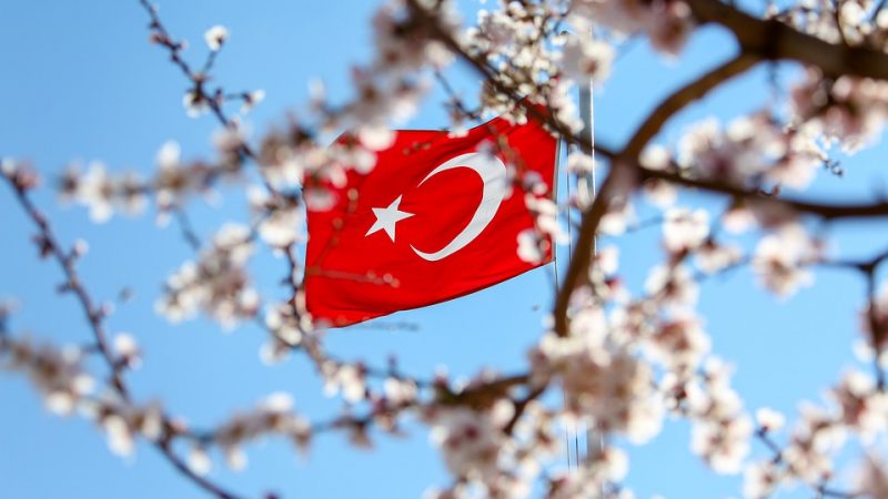 Last week in Turkey: reconciliation between Ankara and Moscow