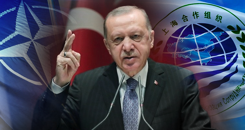 Erdoğan: A ship that could continue sailing in a sea of contradictions